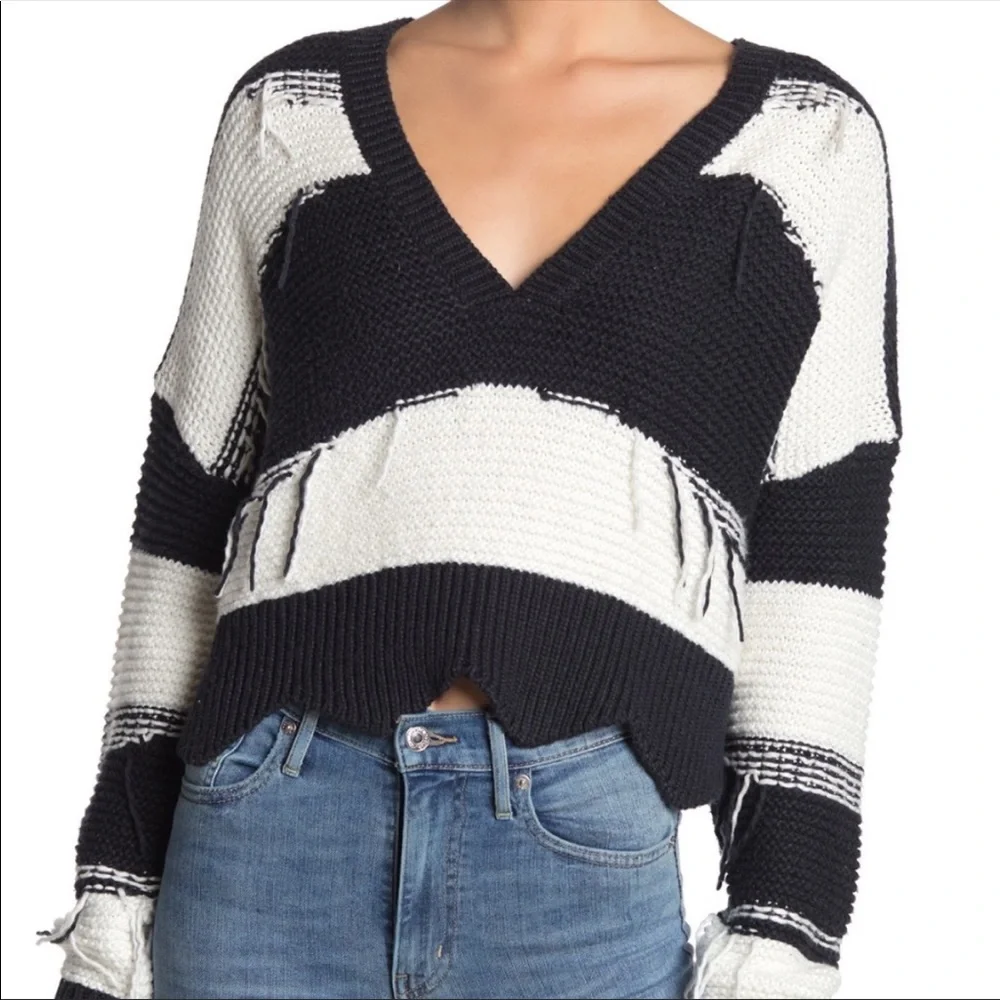 🔥WILDFOX🔥COUTURE ZAFIRIS BLACK & WHITE STRIPE V-NECK SWEATER LARGE NWT - Picture 3 of 7